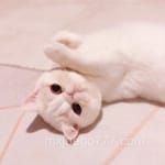 Avatar Felipe Madrid