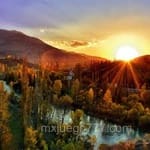 Avatar Matías Pellegrín